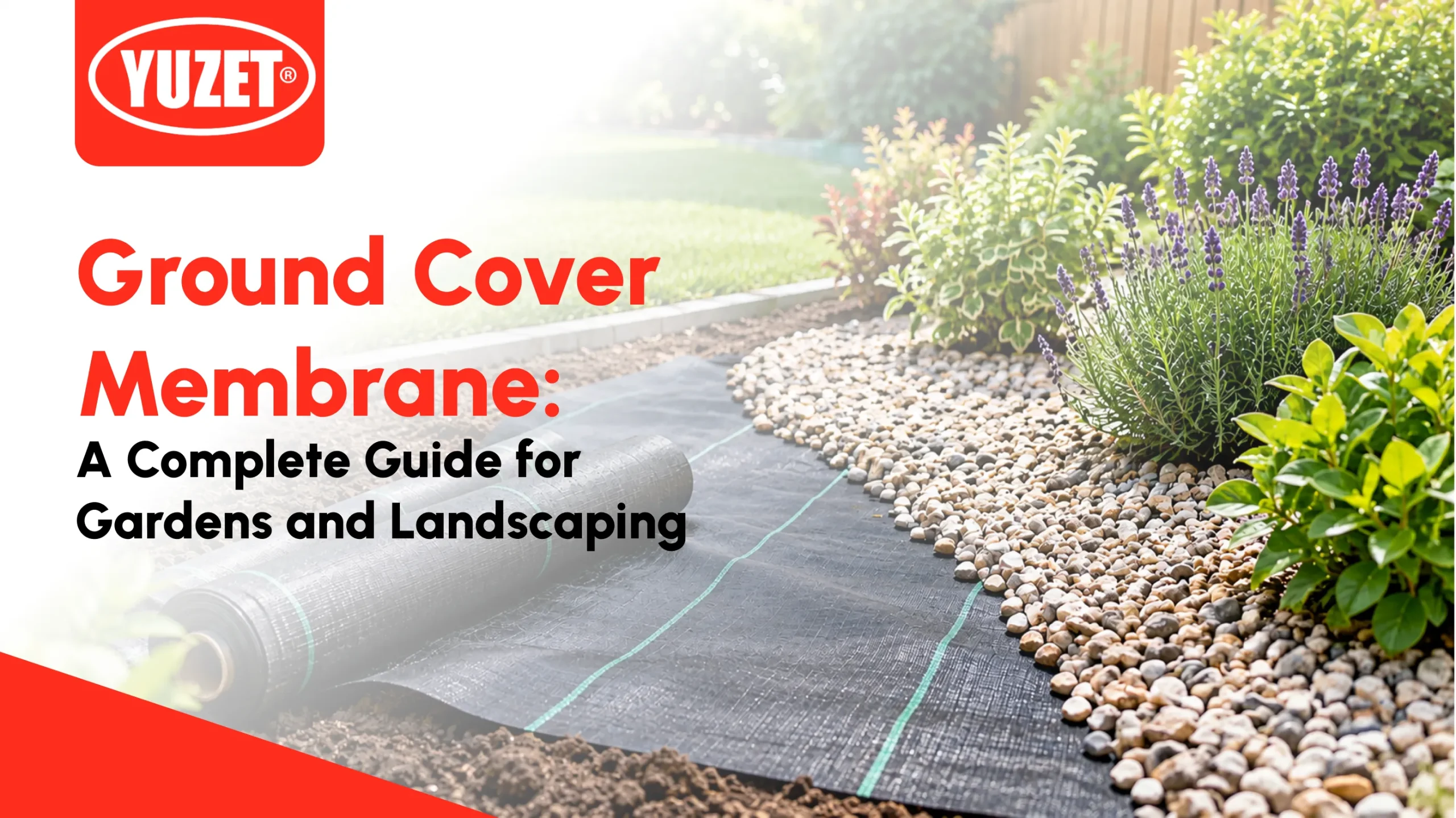 Ground Cover Membrane: A Complete Guide for Gardens and Landscaping